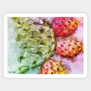 Colorful Cactus Fruit - Digital Watercolor Sticker